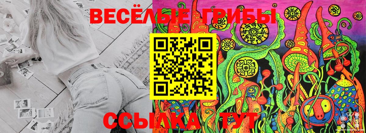 Галлюциногенные грибы Magic Shrooms Карталы