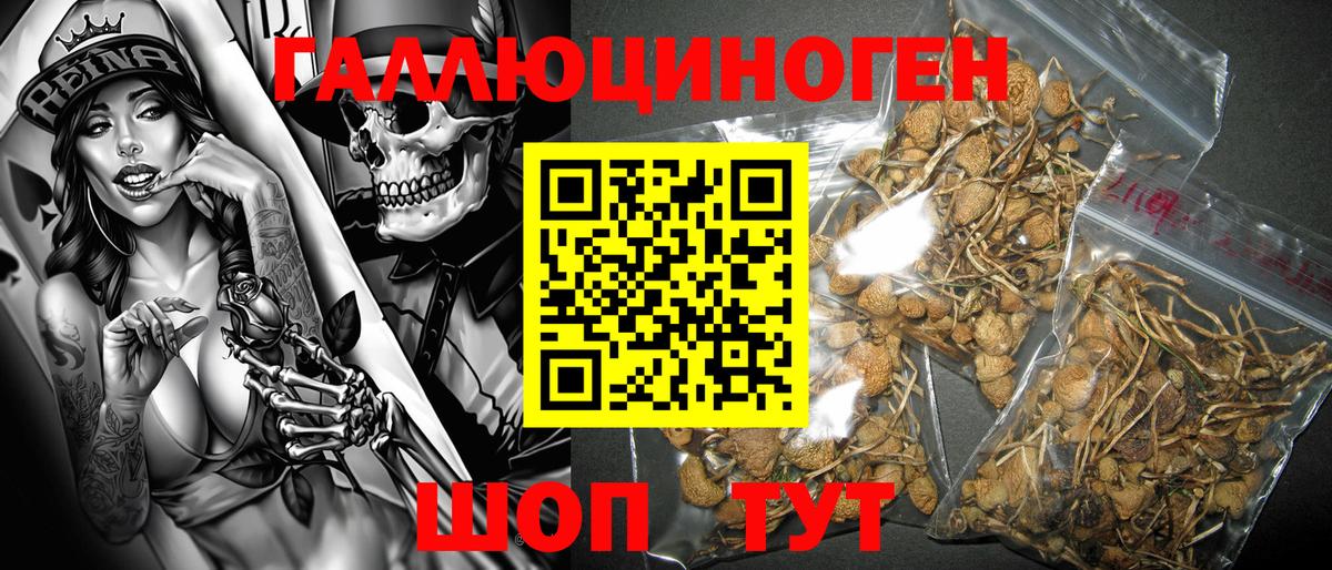 Карталы  Псилоцибиновые грибы GOLDEN TEACHER  Вход с VPN 